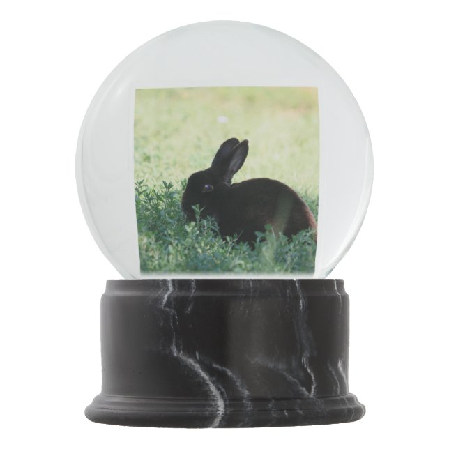 Lil schwarzes Häschen Schneekugel (Vorderseite)