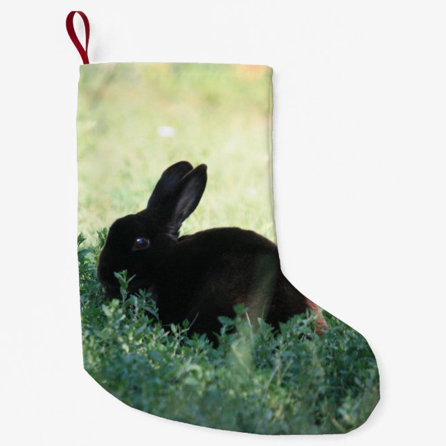 Lil versah schwarzes Häschen-Doppeltes mit Seiten Kleiner Weihnachtsstrumpf (Vorderseite)