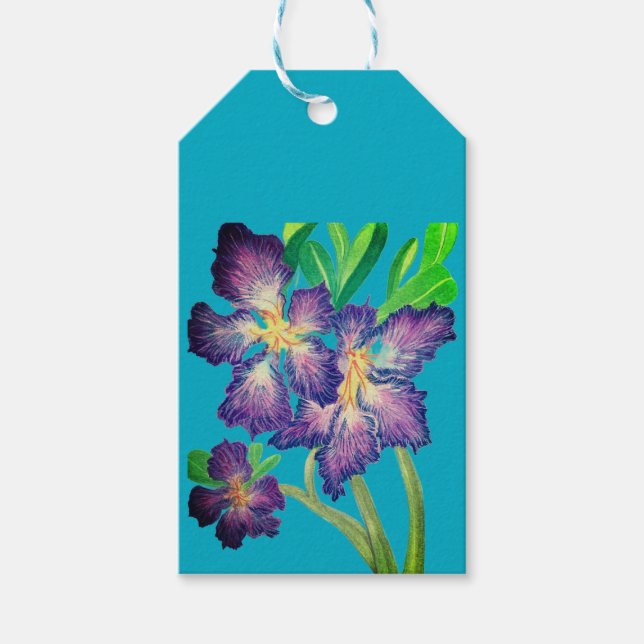 Lila Adenium Geschenkanhänger (Vorderseite)