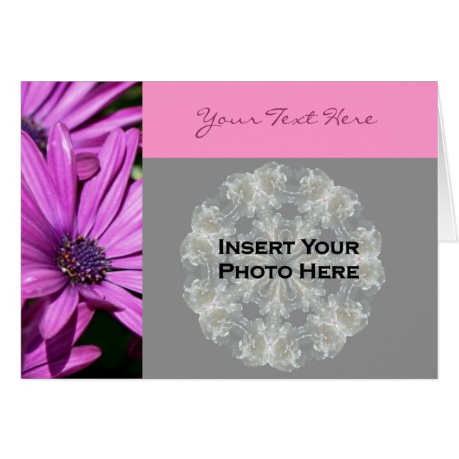 Lila African Daisies Floral Foto Card (Vorderseite (Horizontal))