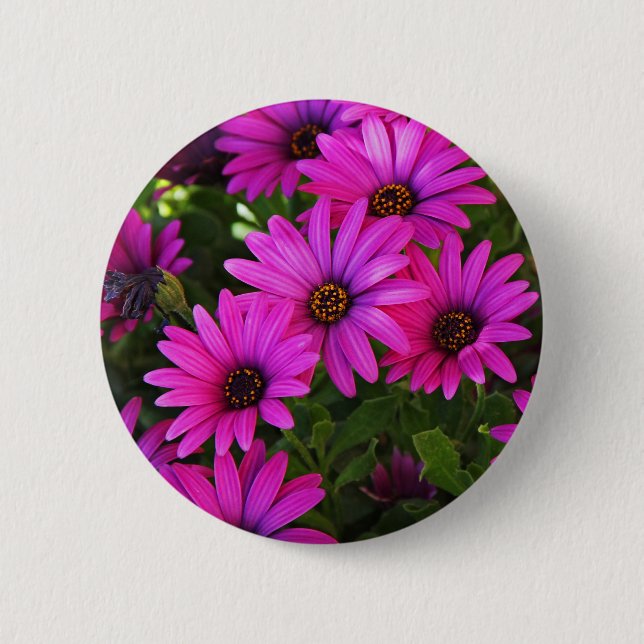 Lila African Daisy Button (Vorderseite)