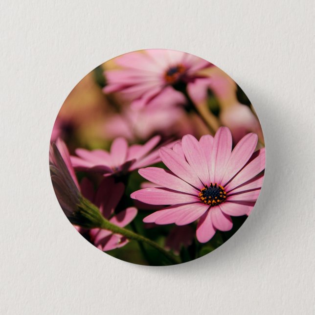 Lila African Daisy Button (Vorderseite)