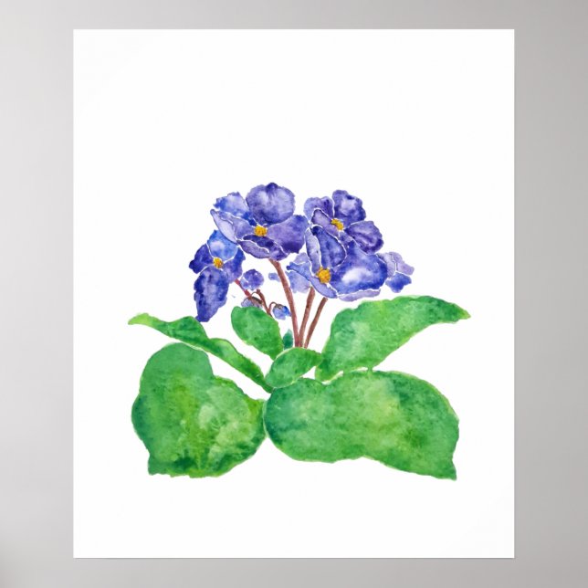 lila afrikanische violette Aquarellmalerei Poster (Vorne)