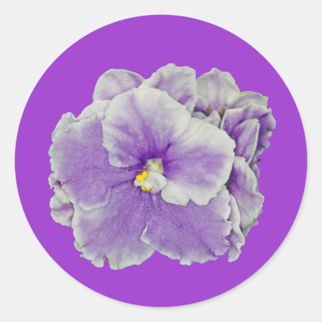 Lila afrikanische Violette Runder Aufkleber (Vorderseite)