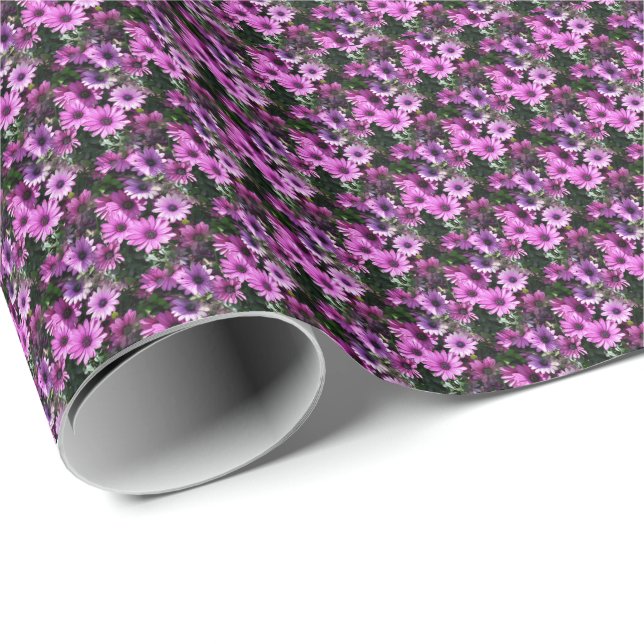 Lila afrikanisches Daisy-Blume Naturmuster Geschenkpapier (Rolleneckpunkt)