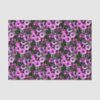 Lila afrikanisches Daisy-Blume Naturmuster