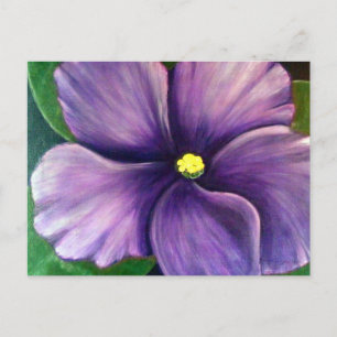 Lila afrikanisches Violett Postkarte