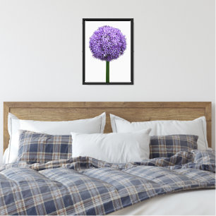 Lila Allium-Blüte auf weißem Hintergrund Leinwanddruck