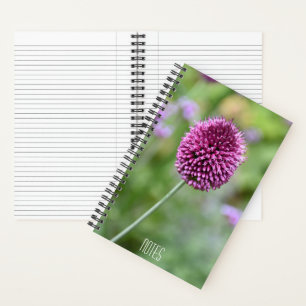 Lila Allium-Blüten-Blume Floral Notizbuch