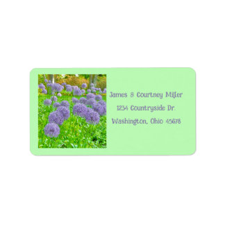 Lila Allium-Garten-Adressetiketten Adressaufkleber