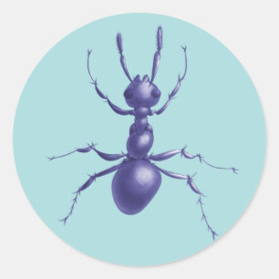 Lila Ameisen-Wanzen-Insekten-Digital-Kunst Runder Aufkleber