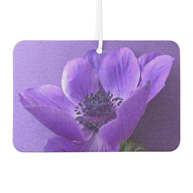 Lila Anemon mit ähnlichem Hintergrund Autolufterfrischer (Vorderseite)