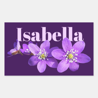 Lila Anemonen Name Dunkelviolett Rechteckiger Aufkleber