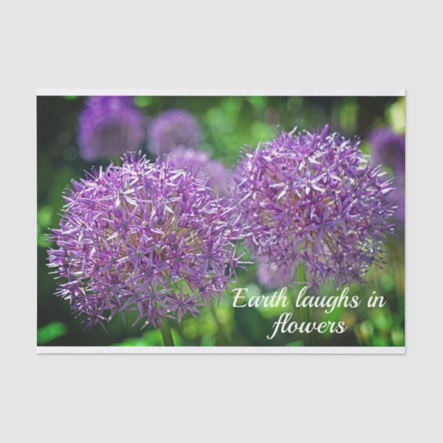 Lila Angebot für Blume Seidenpapier (Vorderseite)