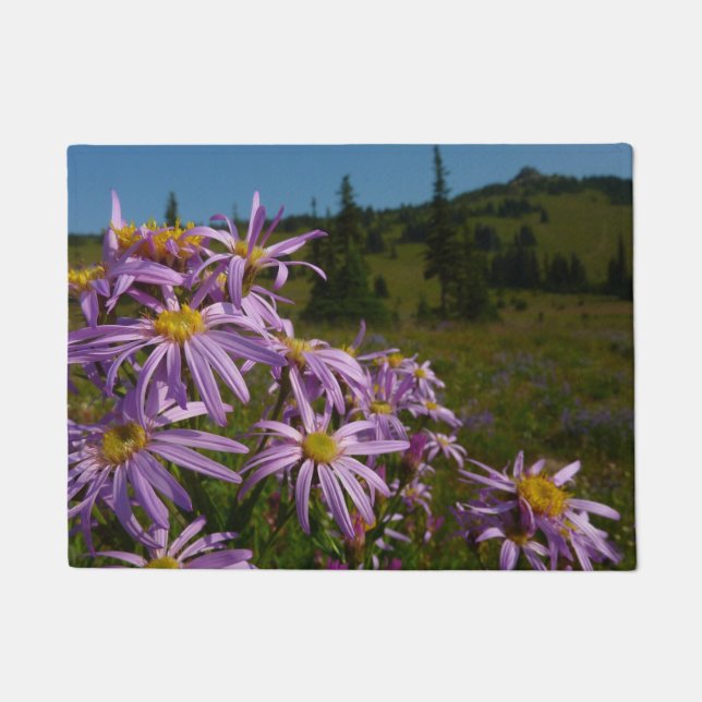 Lila Aster-Blume auf dem Rainier Fußmatte (Vorderseite)