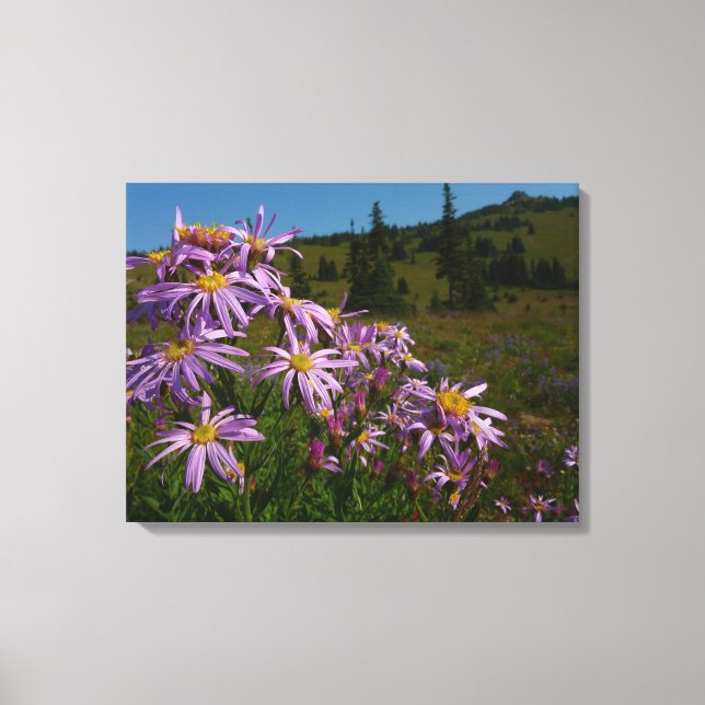 Lila Aster-Blume auf dem Rainier Leinwanddruck (Vorderseite)