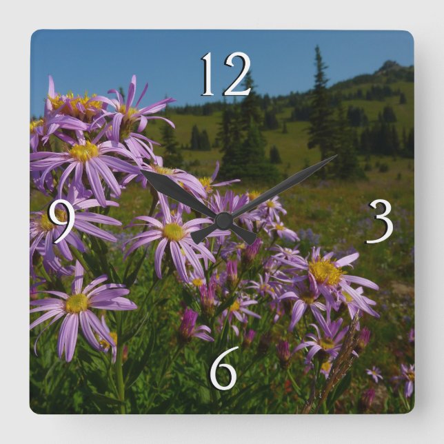 Lila Aster-Blume auf dem Rainier Quadratische Wanduhr (Vorderseite)