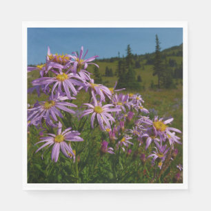 Lila Aster-Blume auf dem Rainier Serviette