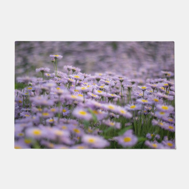 Lila Aster-Blume Fußmatte (Vorderseite)