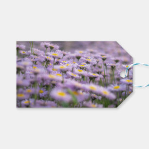 Lila Aster-Blume Geschenkanhänger