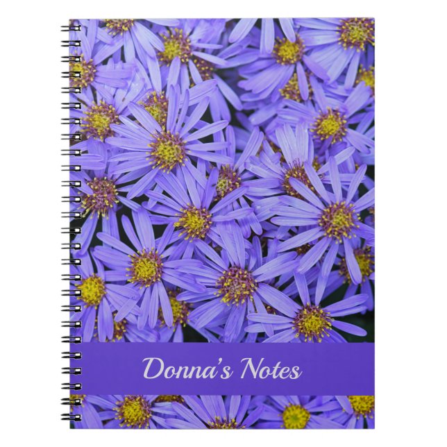 Lila Aster-Blume im RHS Garden Wisley Notizblock (Vorderseite)