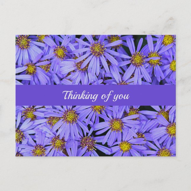 Lila Aster-Blume im RHS Garden Wisley Thinking Postkarte (Vorderseite)