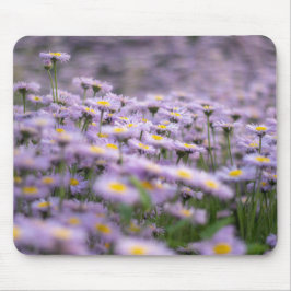 Lila Aster-Blume Mousepad