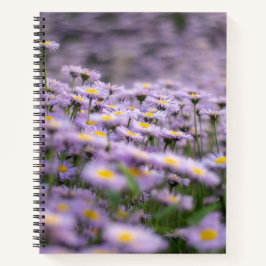 Lila Aster-Blume Notizbuch