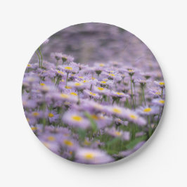 Lila Aster-Blume Pappteller