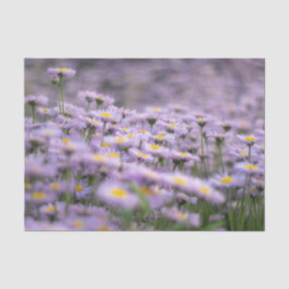 Lila Aster-Blume Seidenpapier