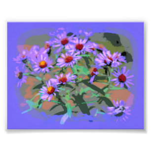 lila Aster-Fotodruck Fotodruck