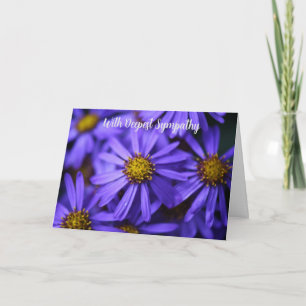 Lila Aster Garden-Blume mit tiefem Beileid Karte