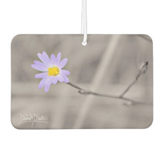 Lila Aster in selektiver Farbe Autolufterfrischer
