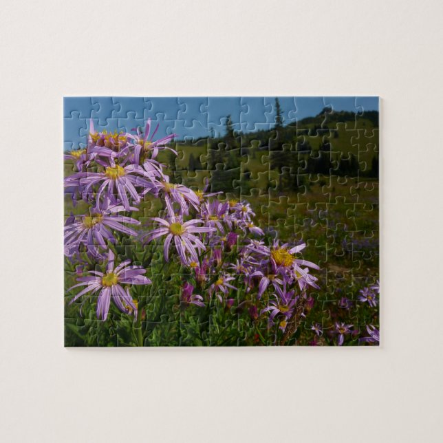 Lila Asterblüten am Mount Rainier (Horizontal)