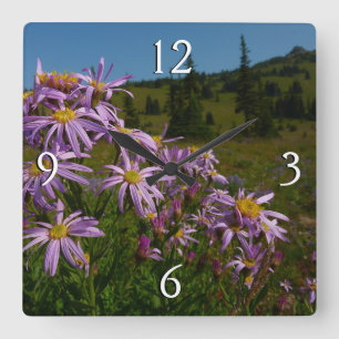 Lila Asterblüten am Mount Rainier Quadratische Wanduhr