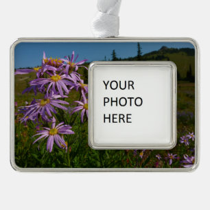 Lila Asterblüten am Mount Rainier Rahmen-Ornament Silber