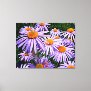 Lila Asters Wrapped Canvas Leinwanddruck