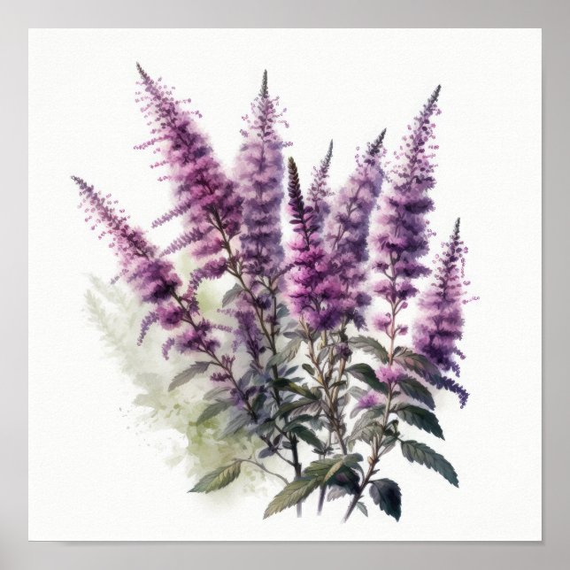 Lila Astilbe Blume Art Print Poster (Vorne)
