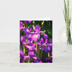 Lila, bärtige Iris-Blume - individuell anpassbare  Dankeskarte