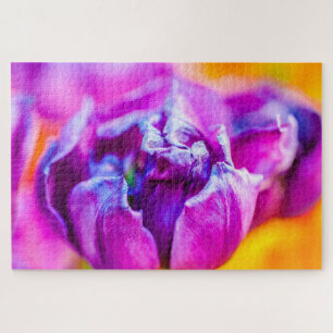 Lila Beauty Tulip Blume