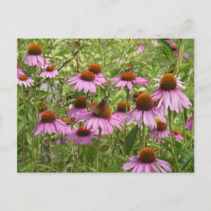 Lila Bediener mit SchmetterlingsDIY Postkarte
