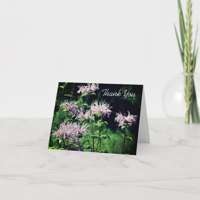 Lila Bee Balm Blume individuell anpassbar Dankesch Dankeskarte (Vorderseite)