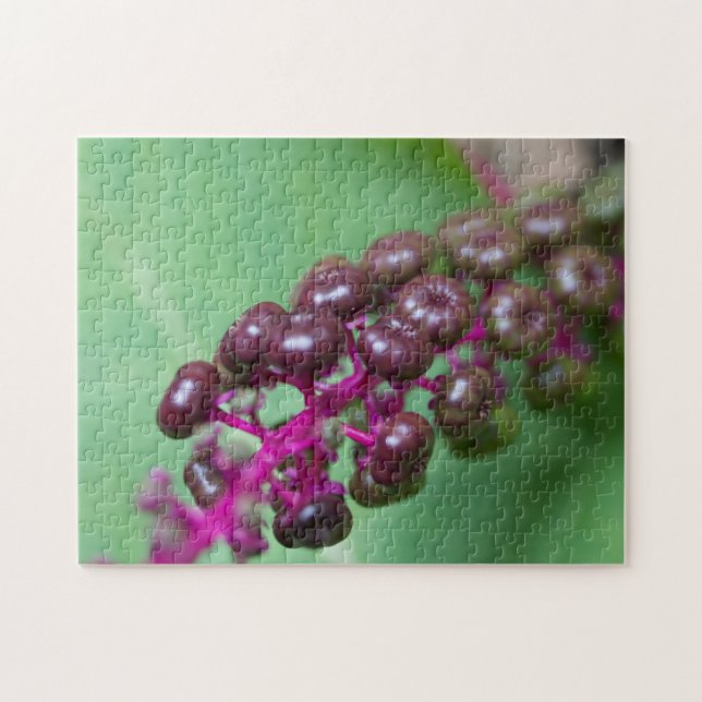 Lila Berries (Horizontal)