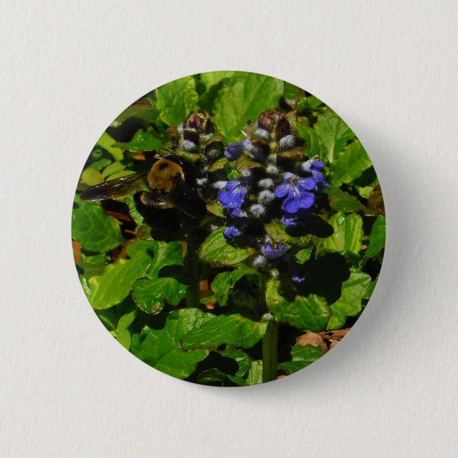 Lila Bienenvölker und Hummel Button (Vorderseite)