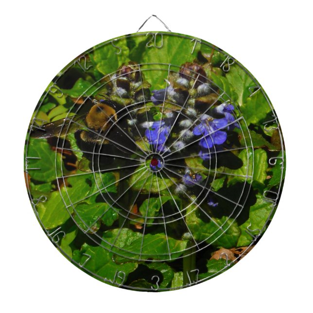 Lila Bienenvölker und Hummel Dartscheibe (vorne)