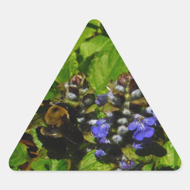 Lila Bienenvölker und Hummel Dreieckiger Aufkleber (Vorderseite)