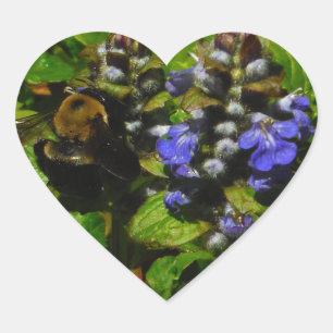 Lila Bienenvölker und Hummel Herz-Aufkleber