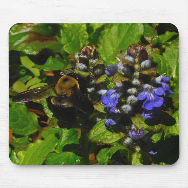 Lila Bienenvölker und Hummel Mousepad (Vorne)