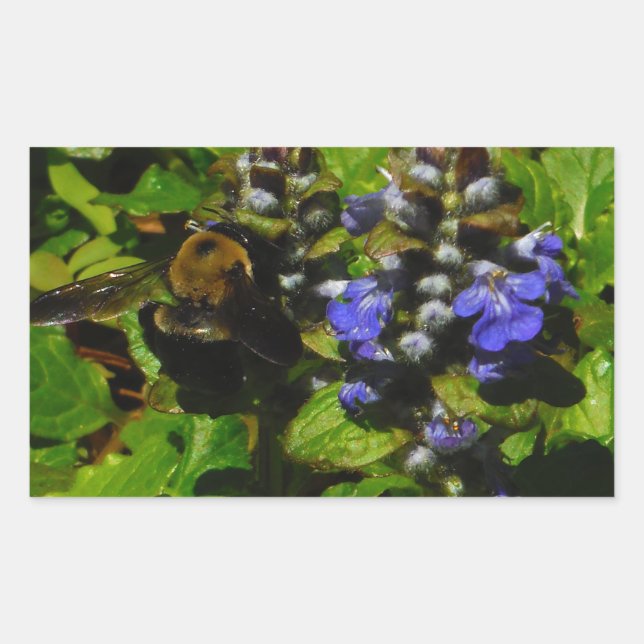 Lila Bienenvölker und Hummel Rechteckiger Aufkleber (Vorderseite)
