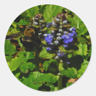 Lila Bienenvölker und Hummel Runder Aufkleber